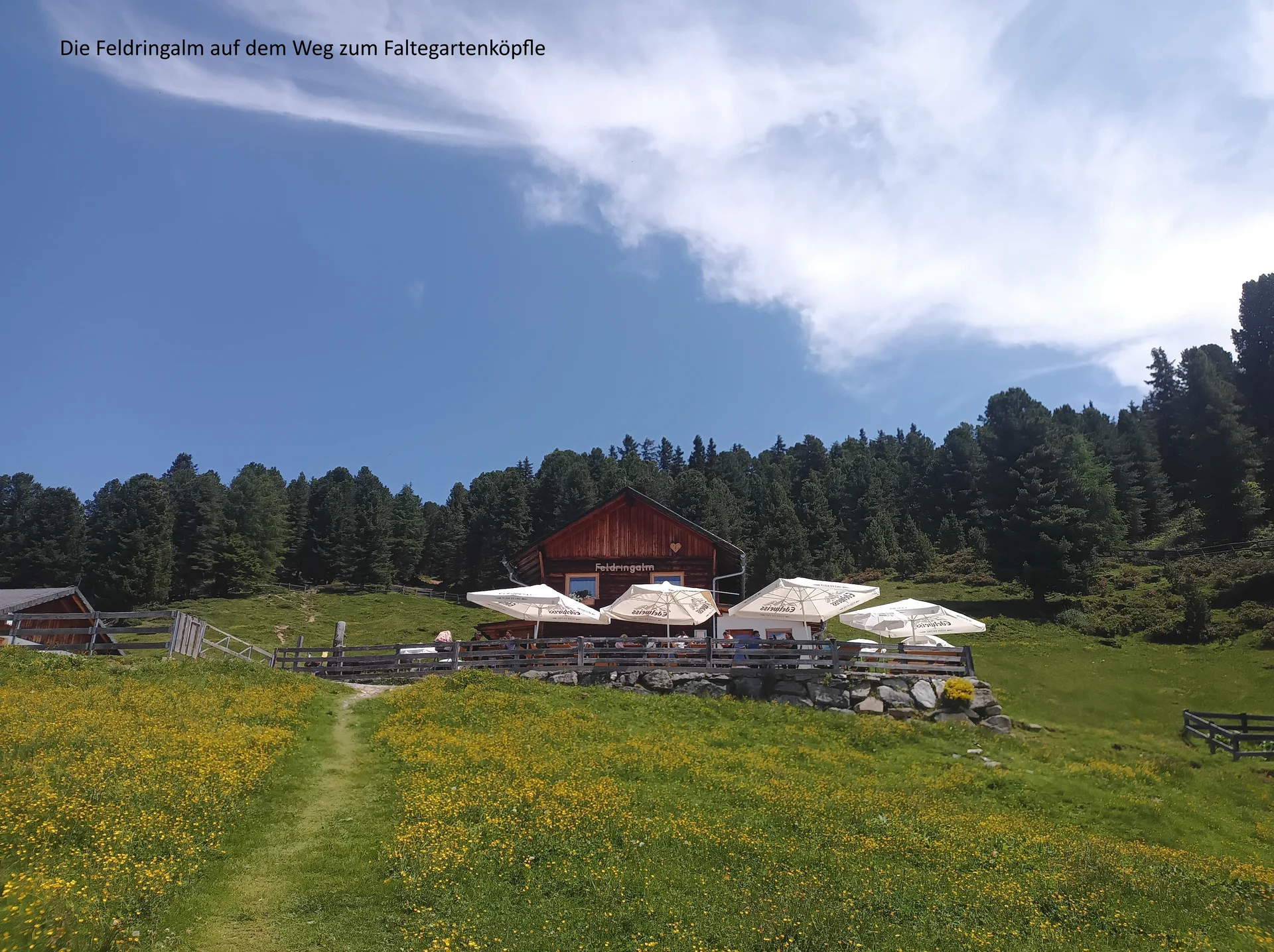 © DAV Teisendorf - OG Waging