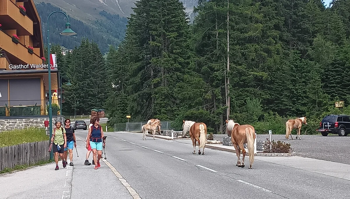 © DAV Teisendorf - OG Waging