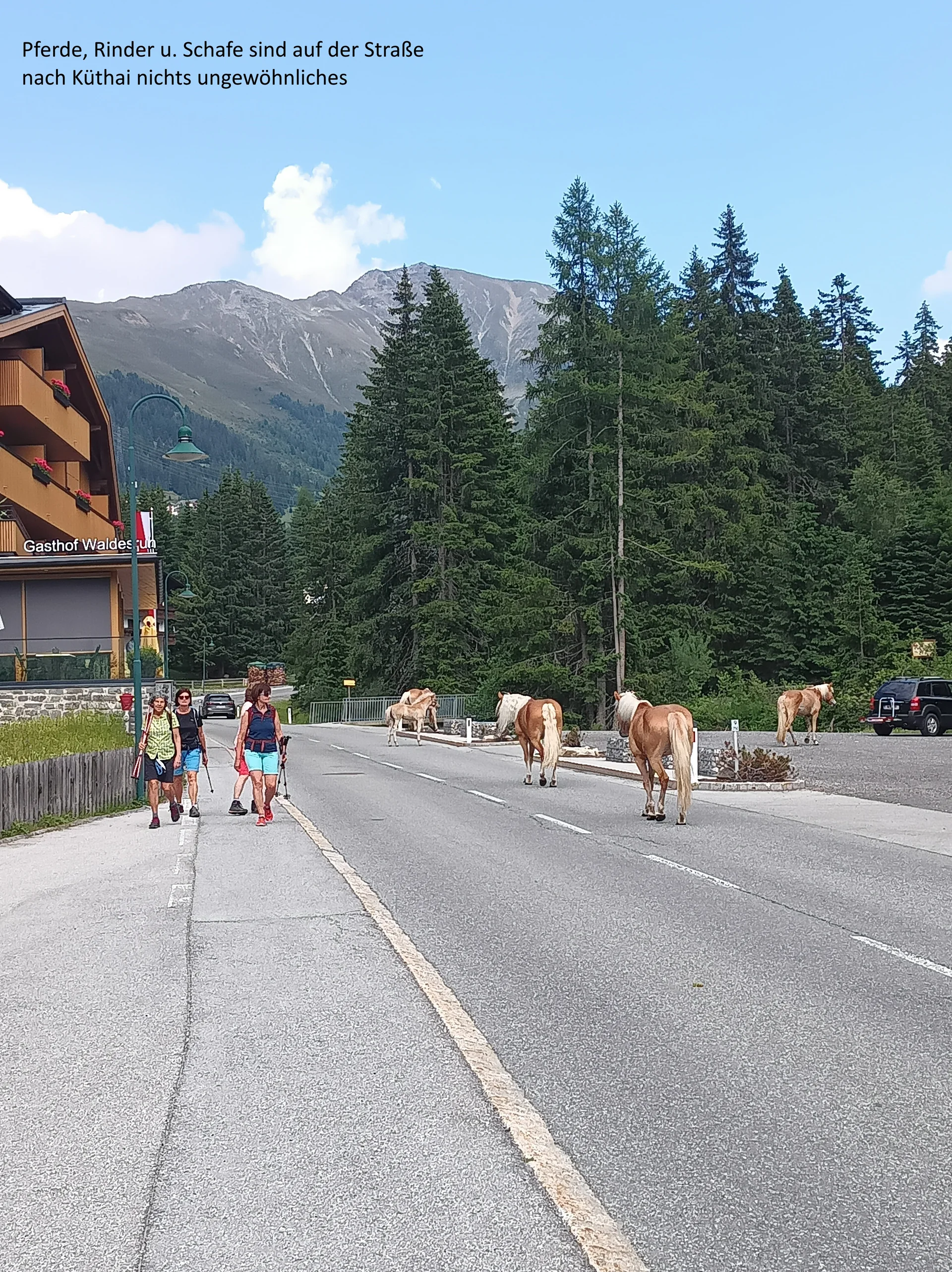 © DAV Teisendorf - OG Waging