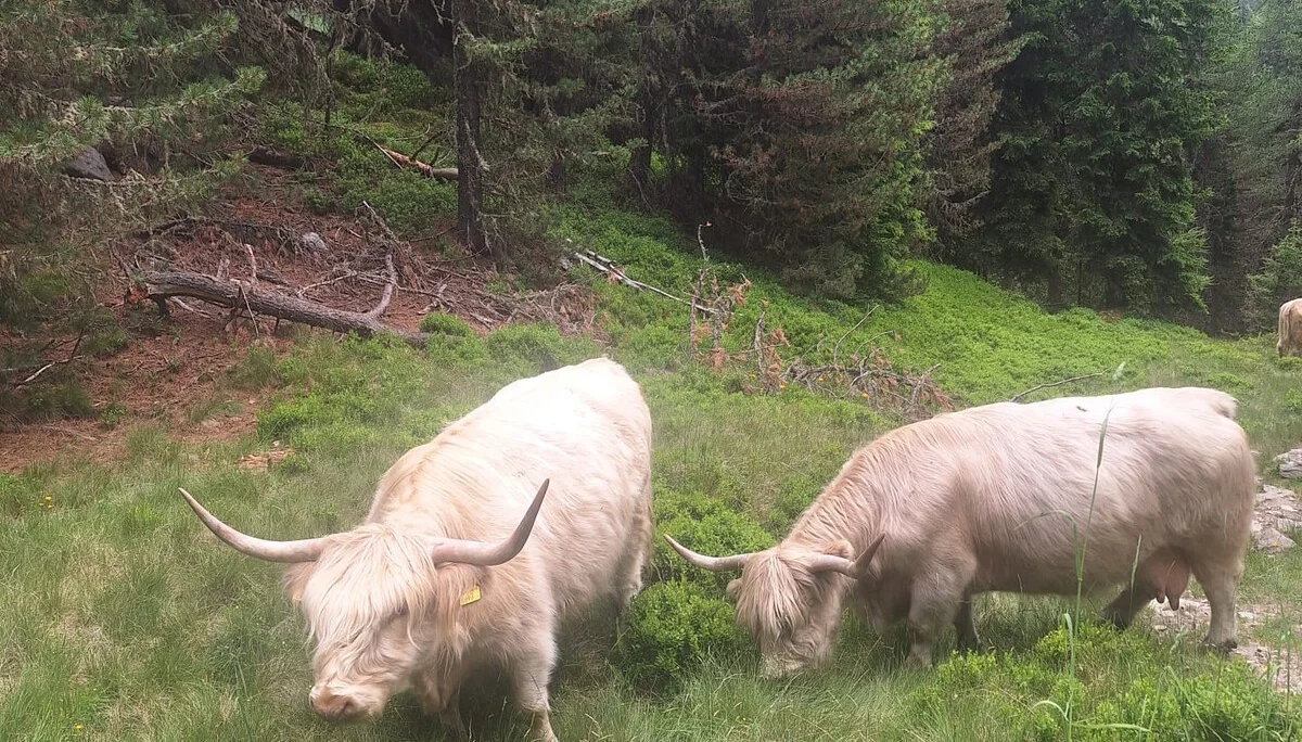 © DAV Teisendorf - OG Waging