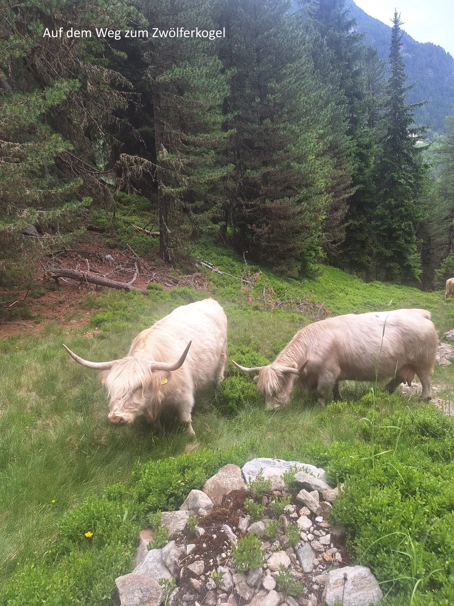 © DAV Teisendorf - OG Waging