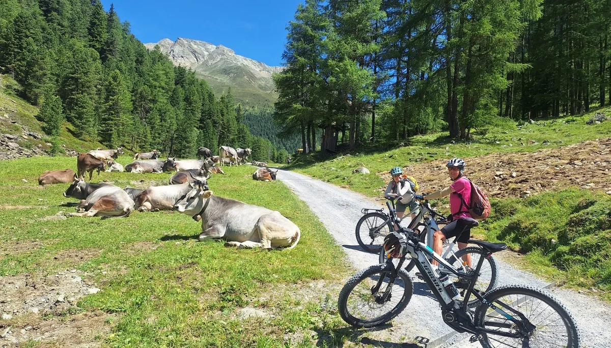 © DAV Teisendorf - OG Waging