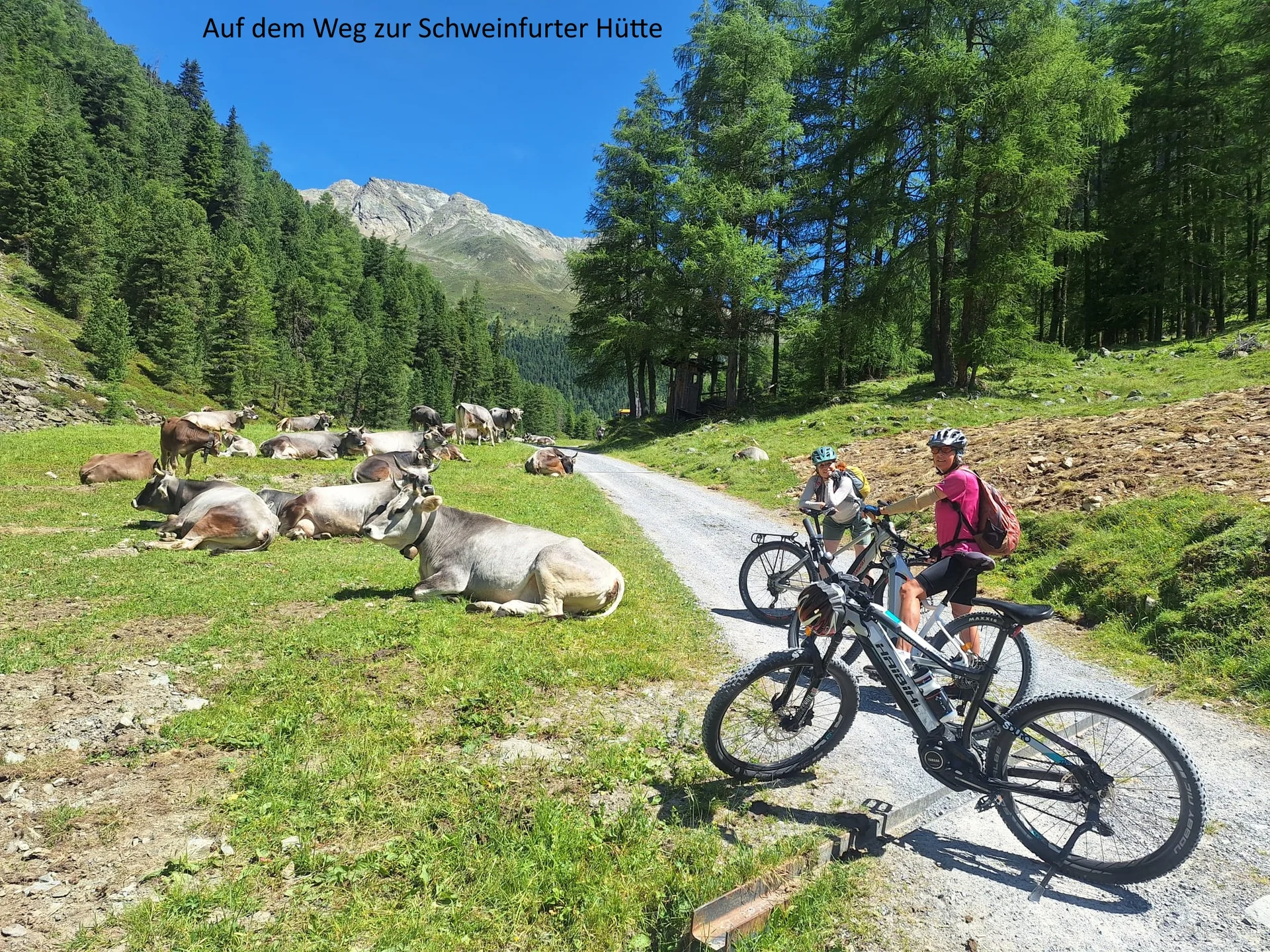 © DAV Teisendorf - OG Waging