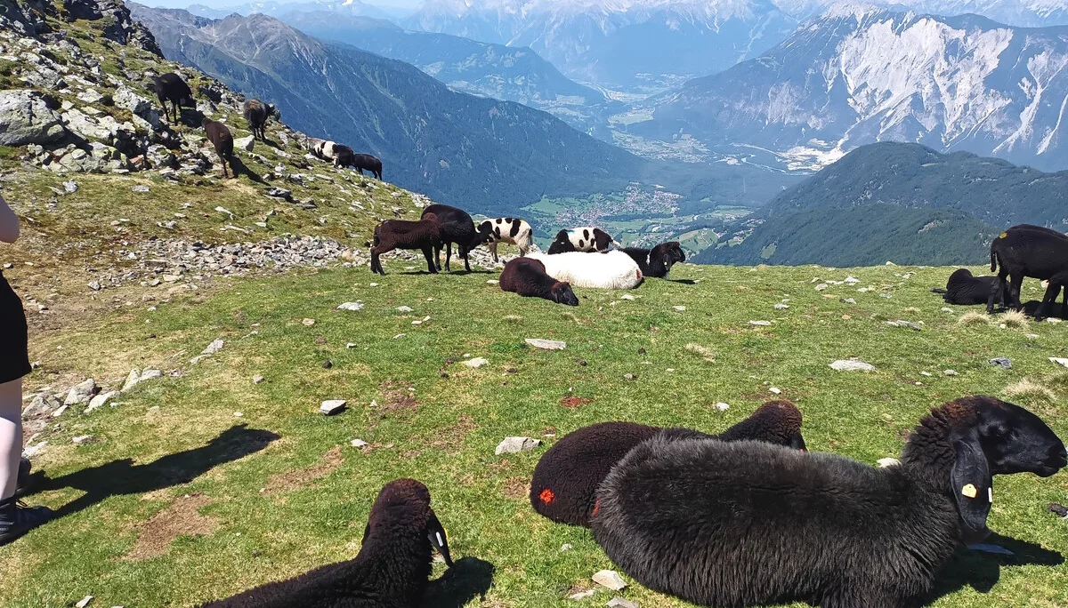 © DAV Teisendorf - OG Waging