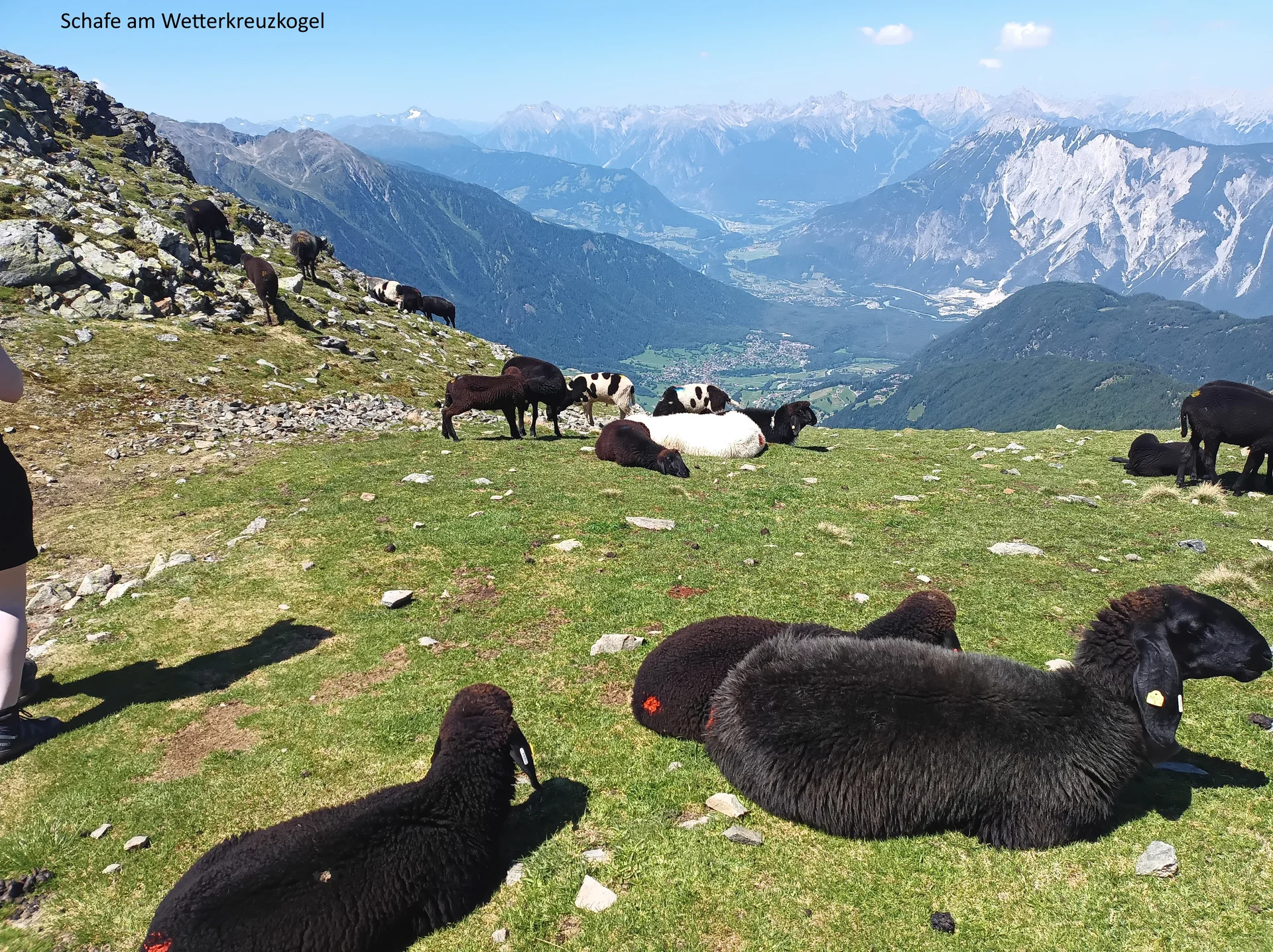 © DAV Teisendorf - OG Waging