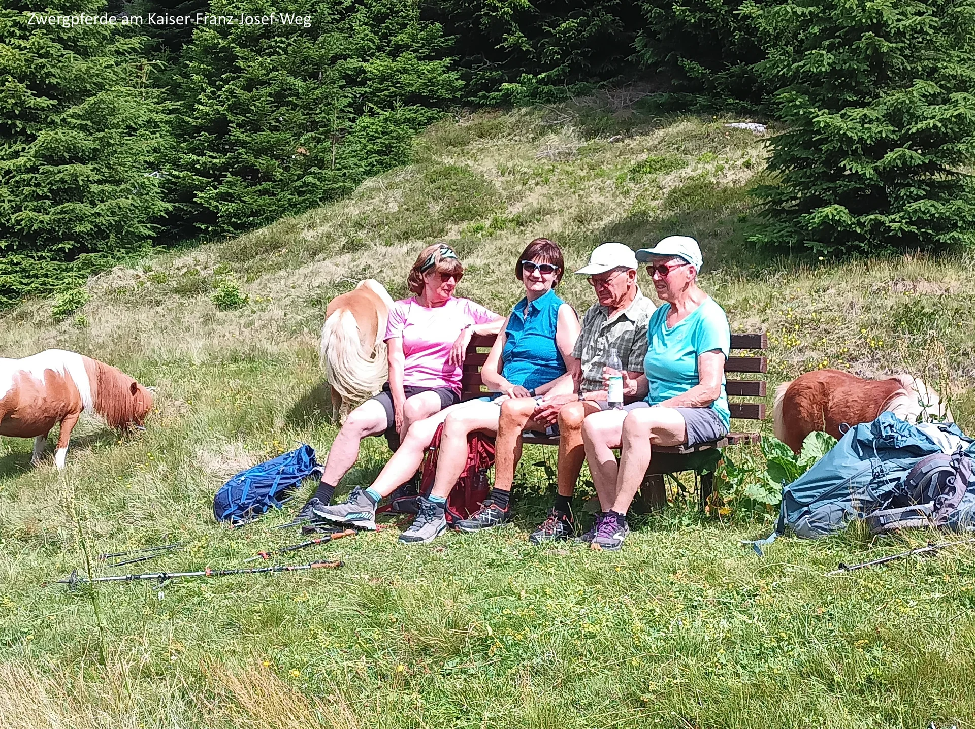 © DAV Teisendorf - OG Waging