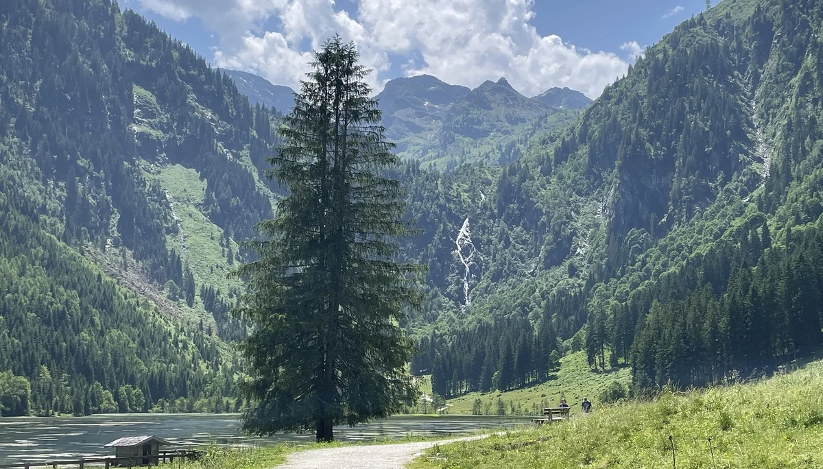 © DAV Teisendorf / OG Waging