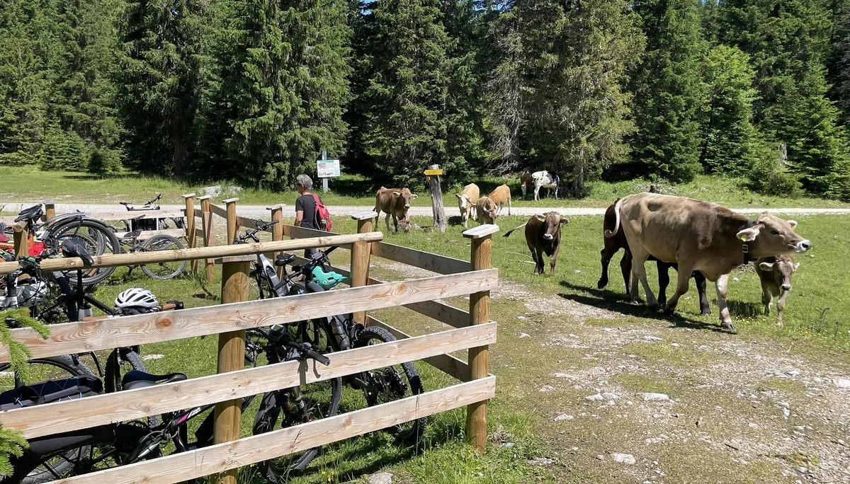 © DAV Teisendorf / OG Waging