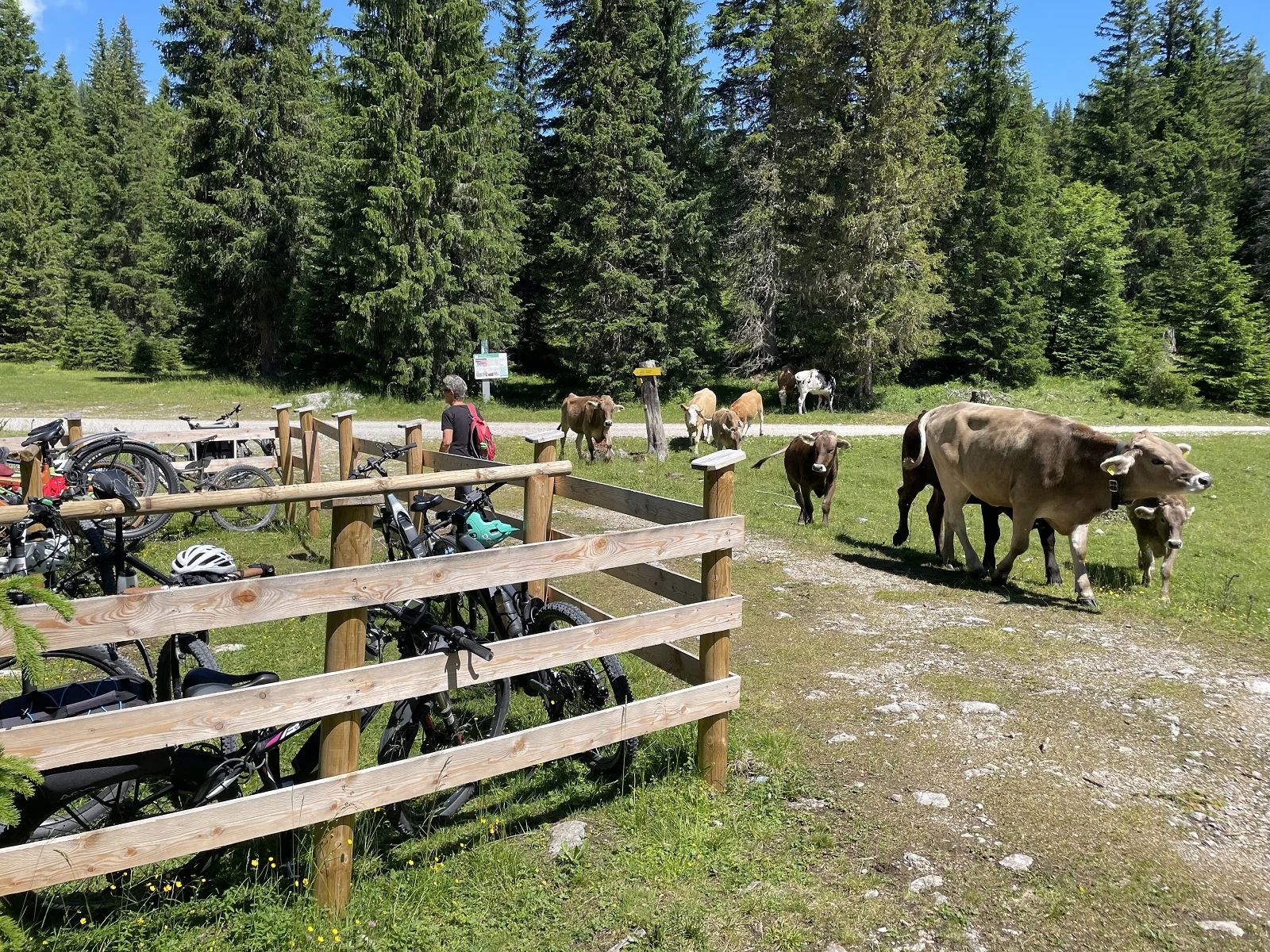 © DAV Teisendorf / OG Waging