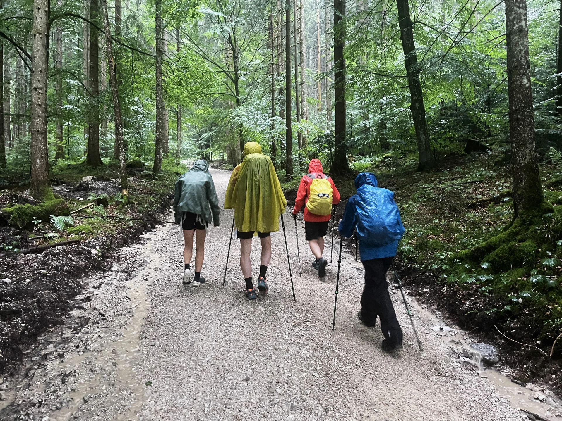 © DAV Teisendorf / OG Waging - im Regen losgehen