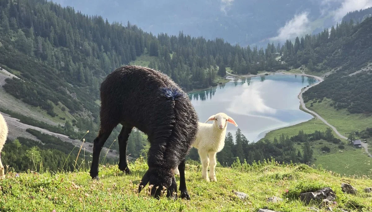 © DAV Teisendorf / OG Waging