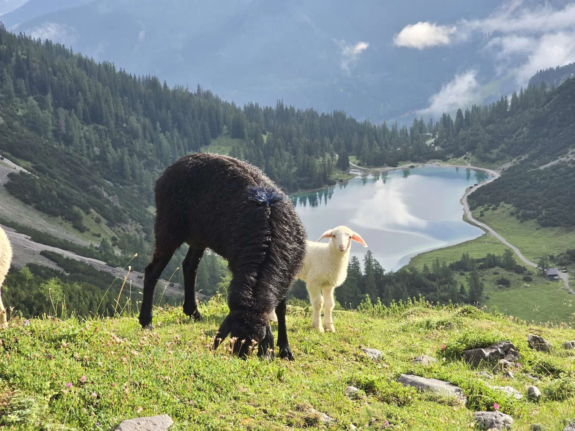 © DAV Teisendorf / OG Waging