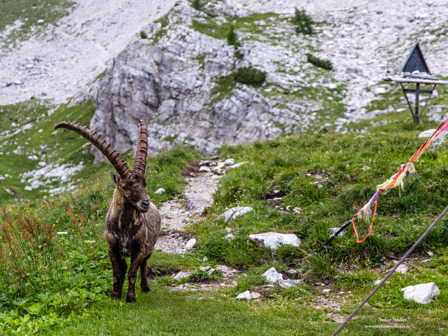 © DAV Teisendorf - Besuch vom Hausherrn selbst