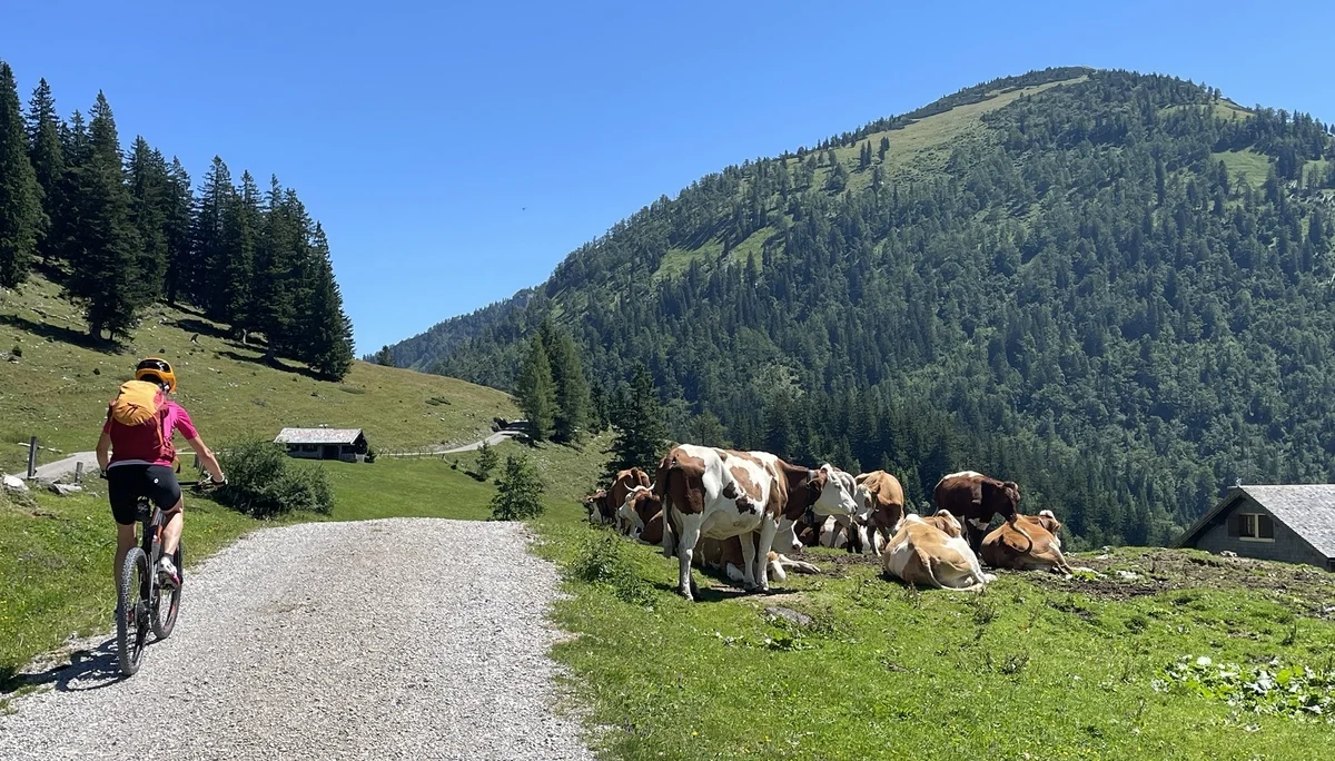 © DAV Teisendorf / OG Waging