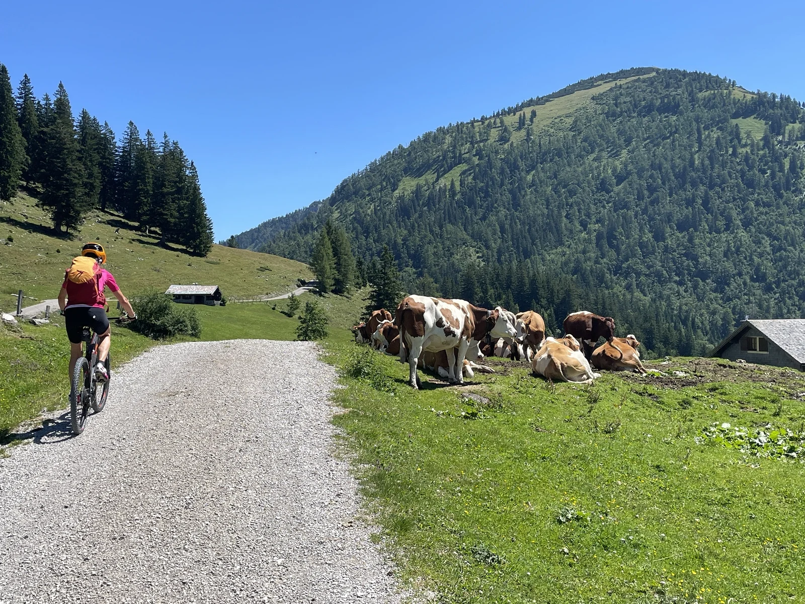 © DAV Teisendorf / OG Waging