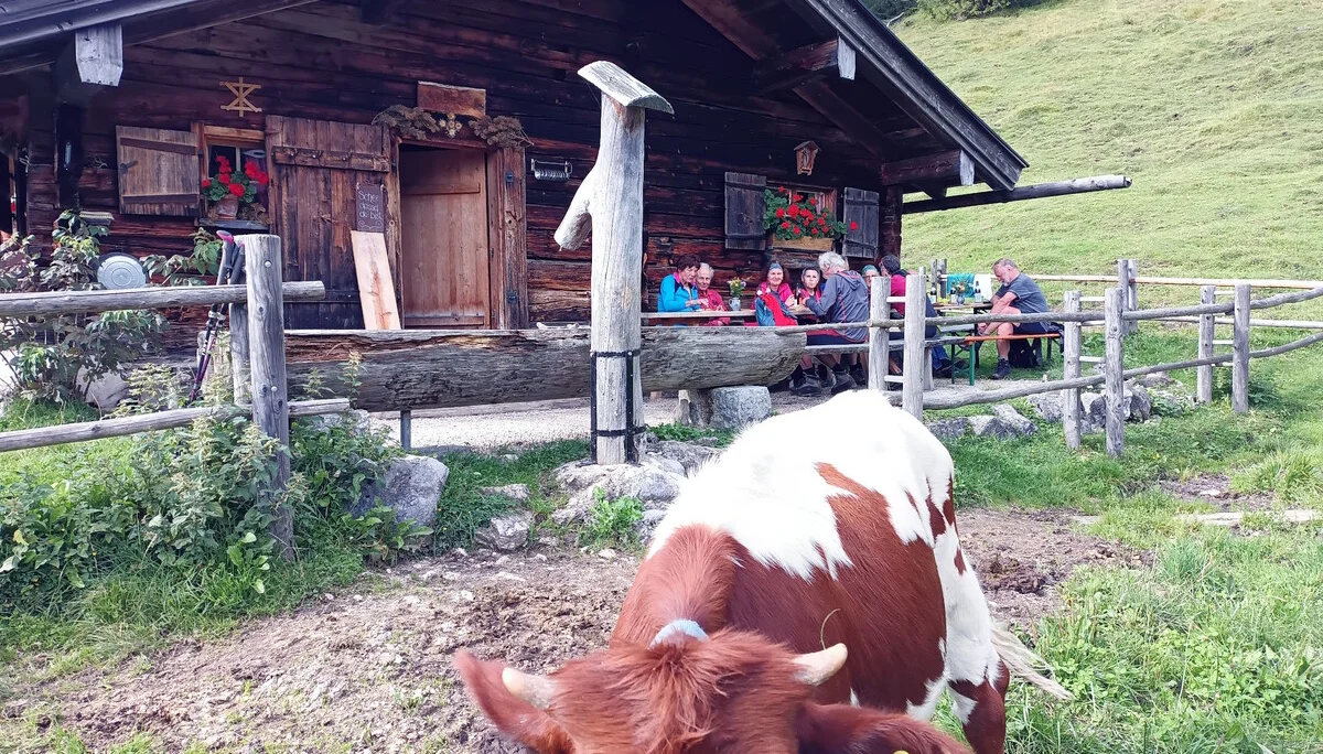 © DAV Teisendorf / OG Waging