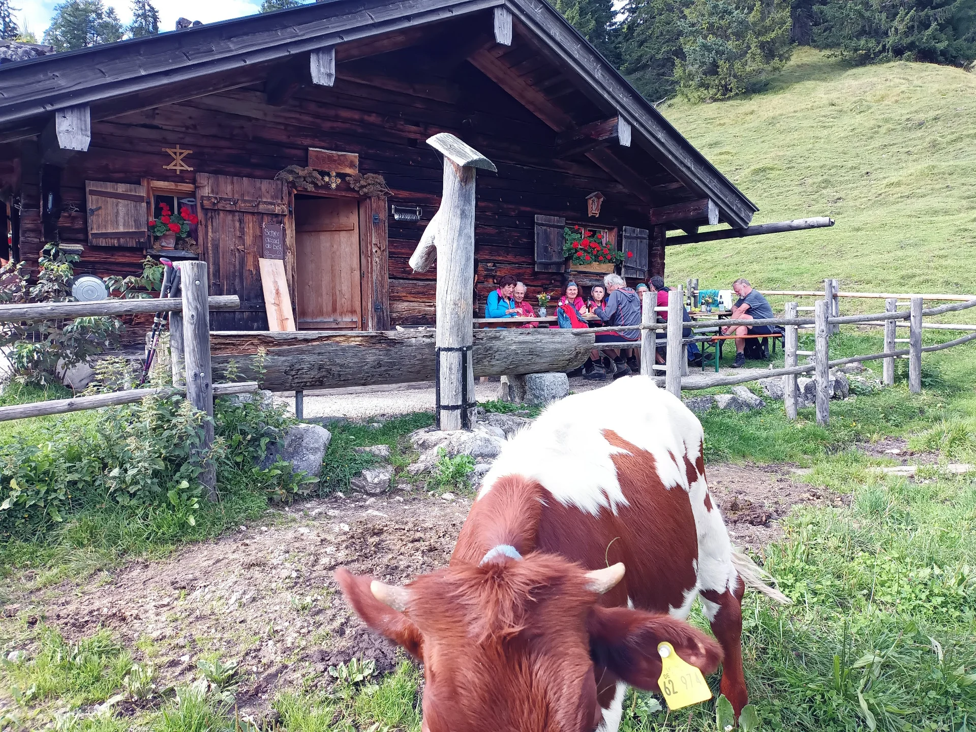 © DAV Teisendorf / OG Waging