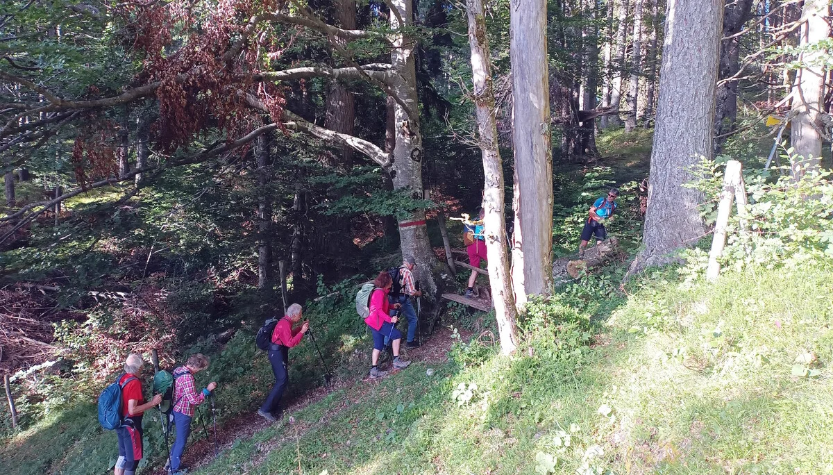 © DAV Teisendorf / OG Waging