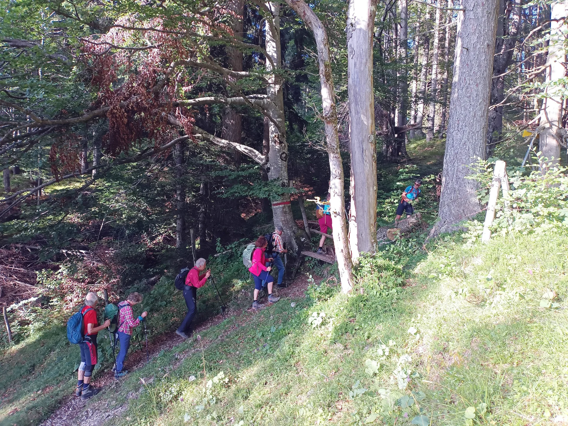 © DAV Teisendorf / OG Waging