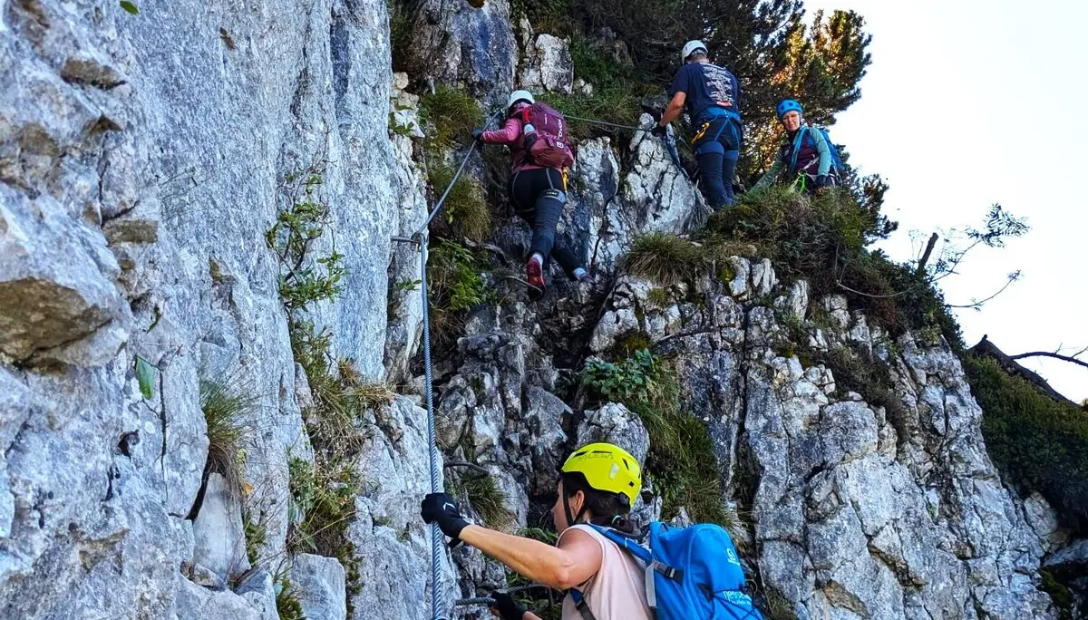 © DAV Teisendorf - OG Waging - An der schneidigen Gams