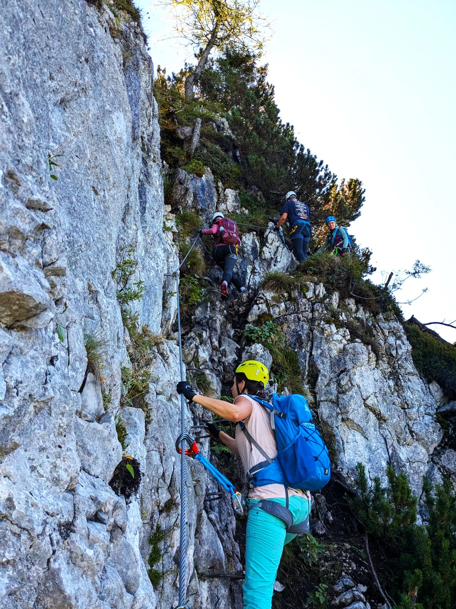 © DAV Teisendorf - OG Waging - An der schneidigen Gams