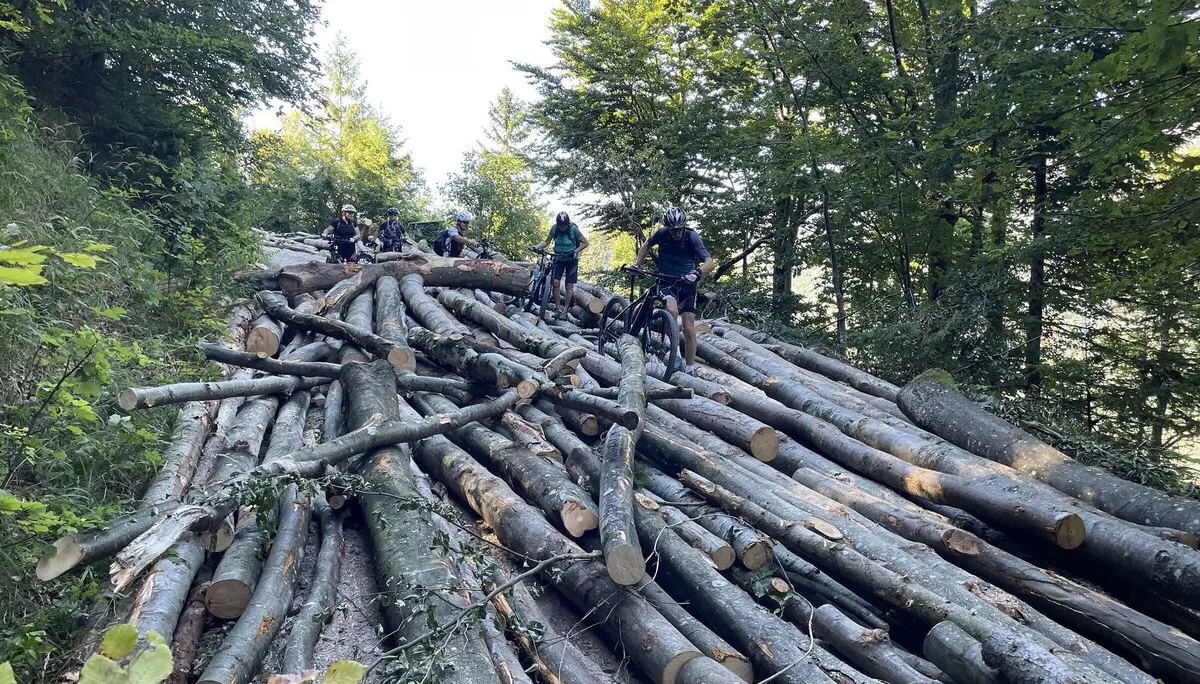 © DAV Teisendorf - OG Waging