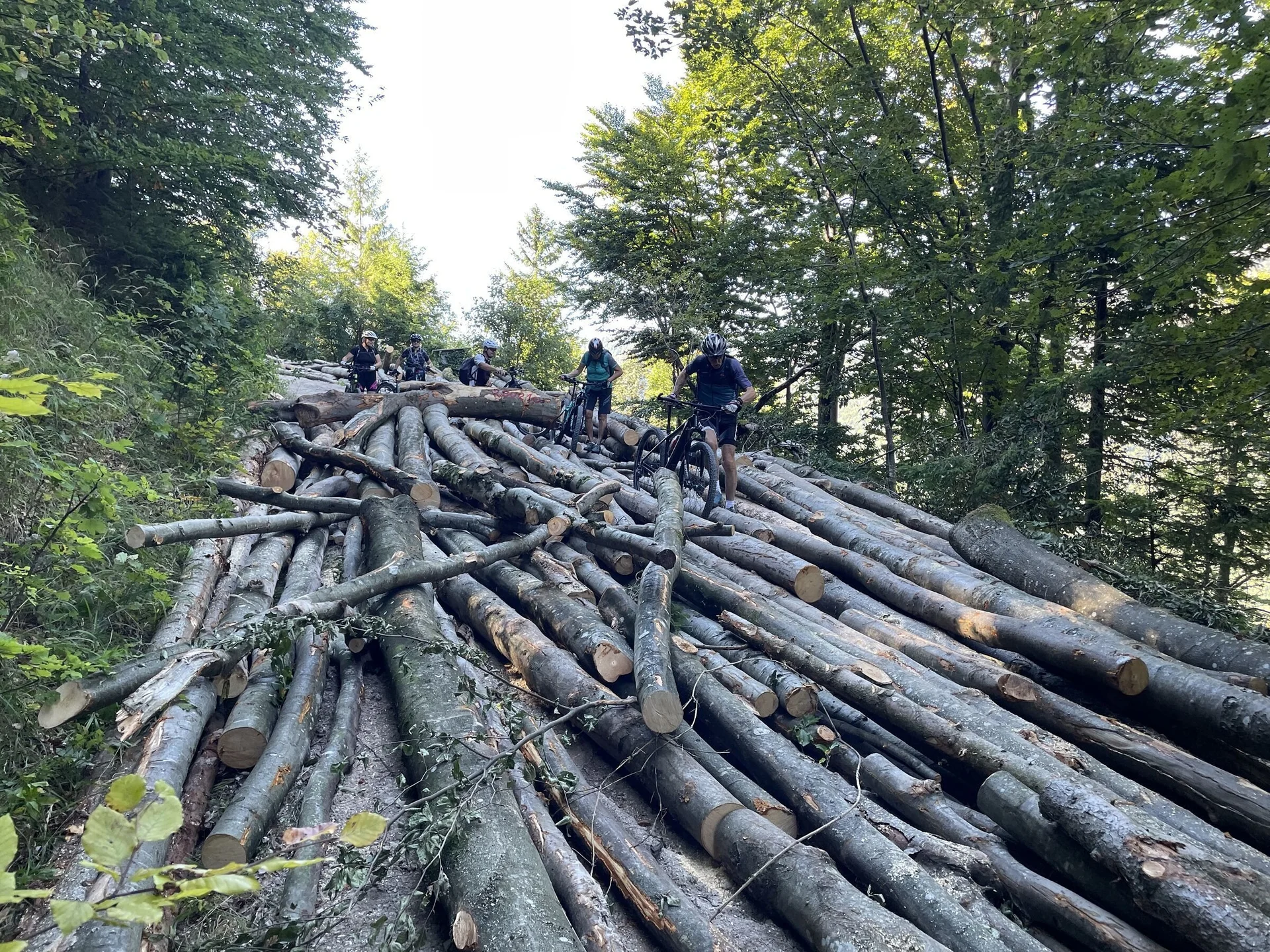 © DAV Teisendorf - OG Waging