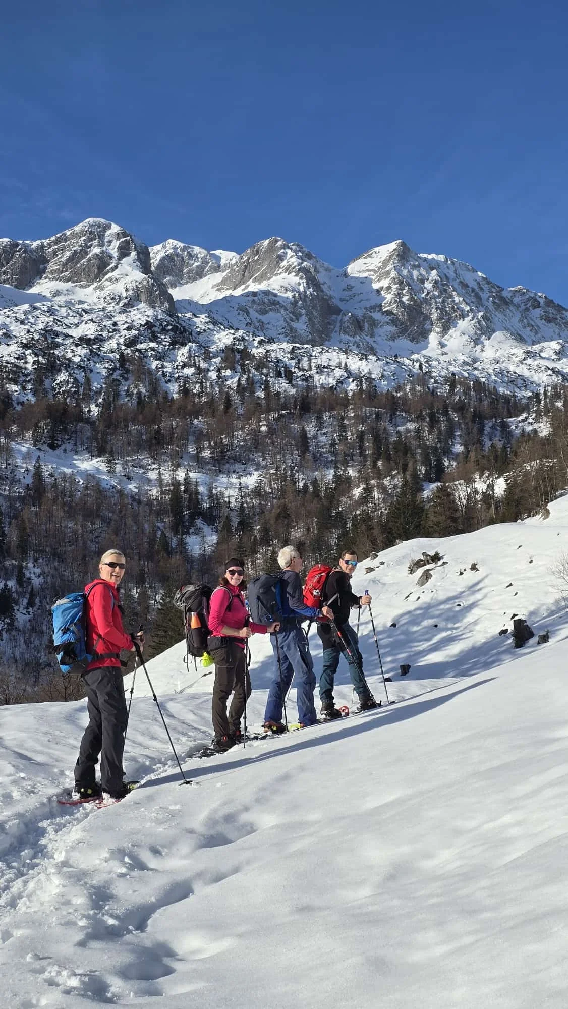 © DAV Teisendorf - OG Waging - Tennengebirgsostseite mit Hochkarfelderkopf
