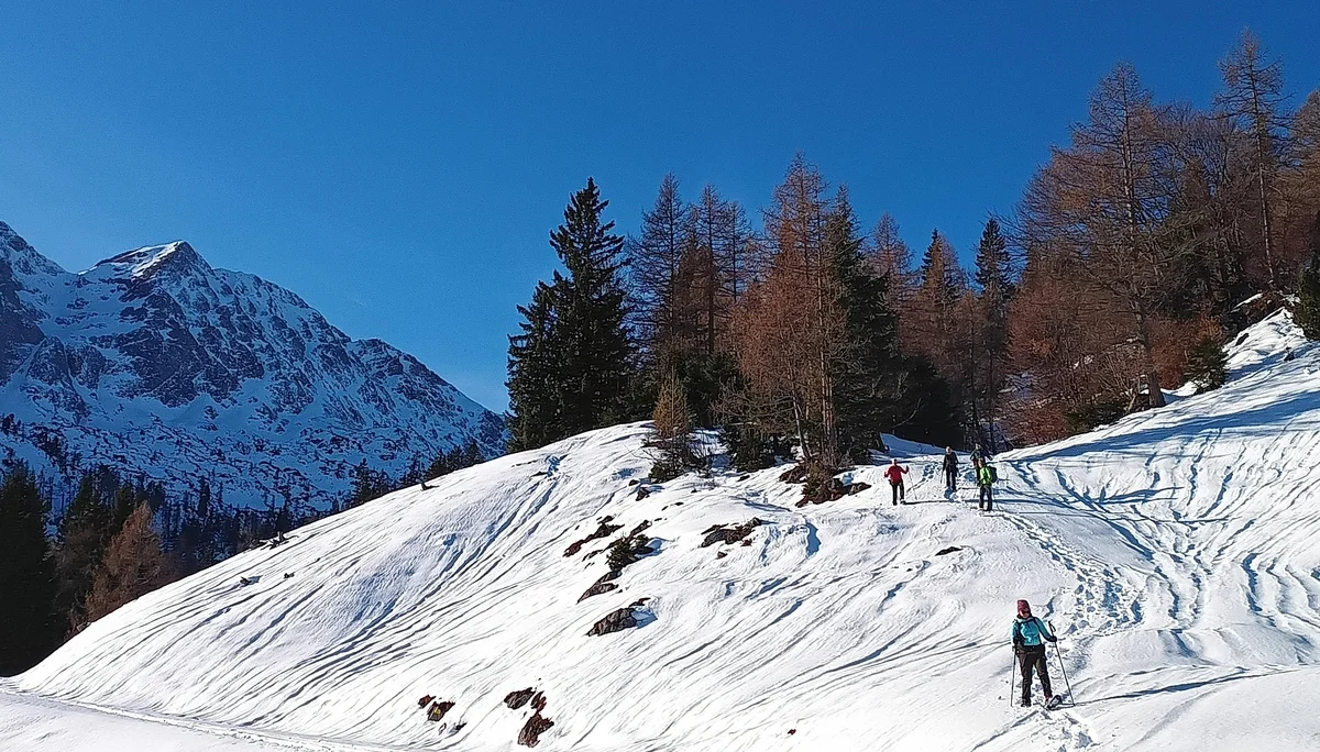 © DAV Teisendorf - OG Waging - Abstieg