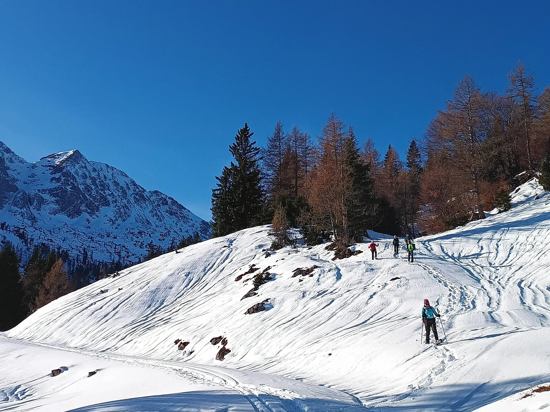 © DAV Teisendorf - OG Waging - Abstieg