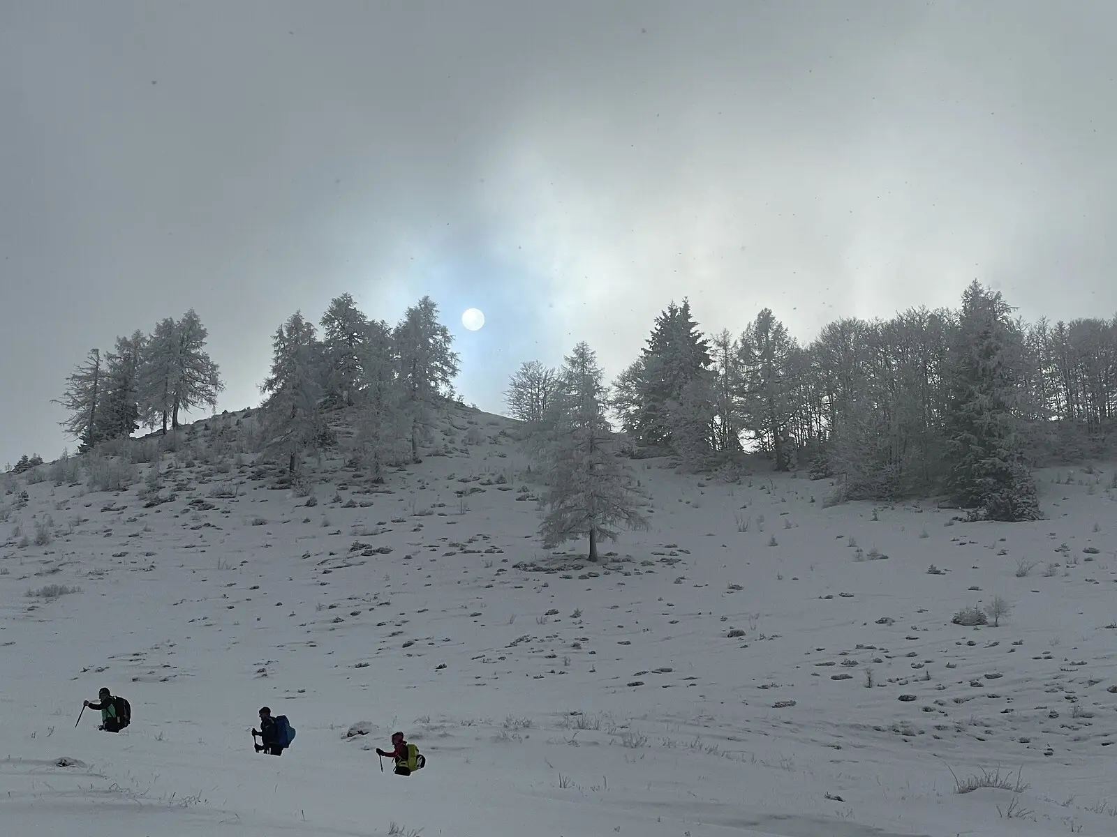 © DAV Teisendorf / OG Waging