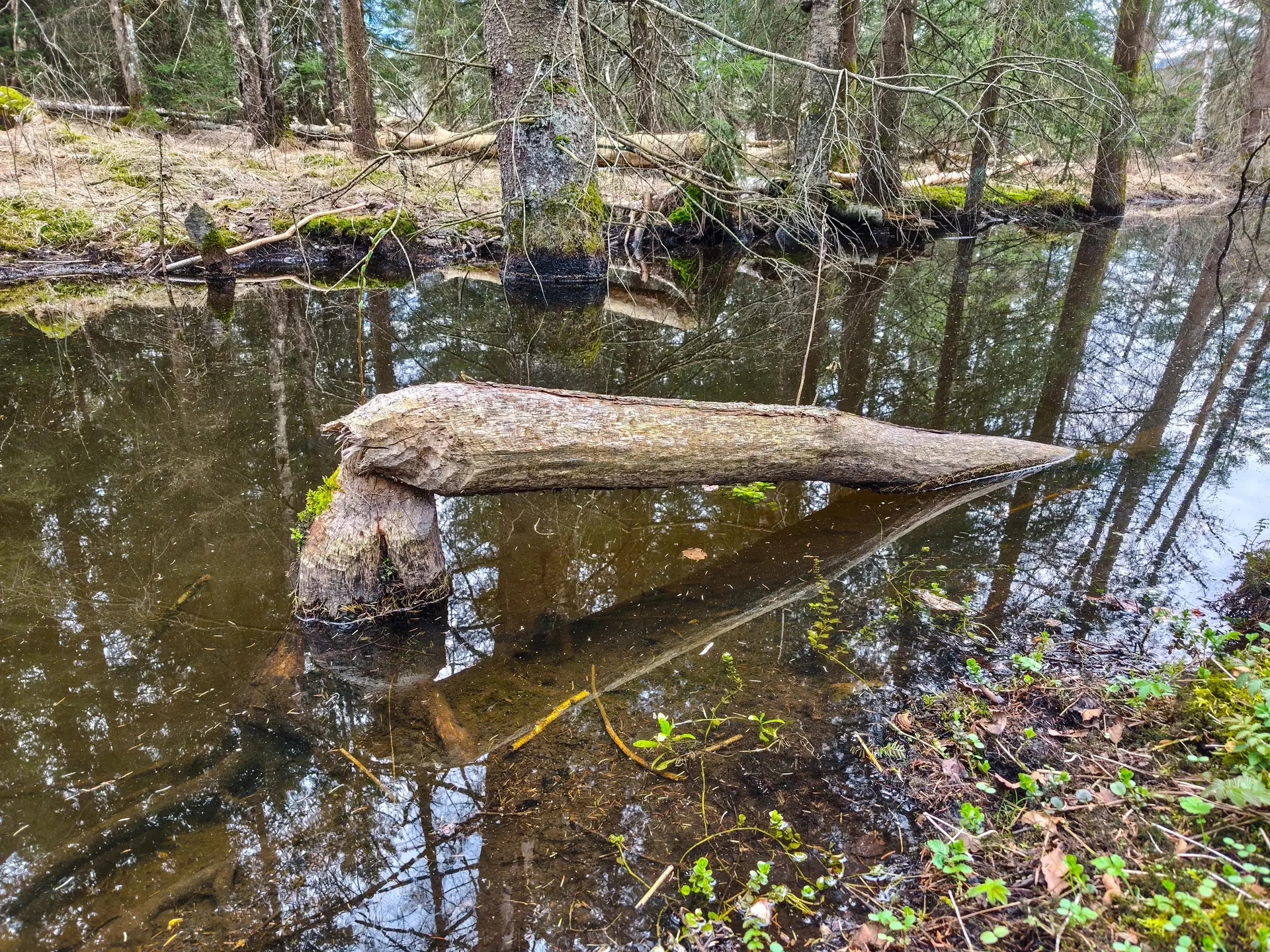 © DAV Teisendorf - OG Waging