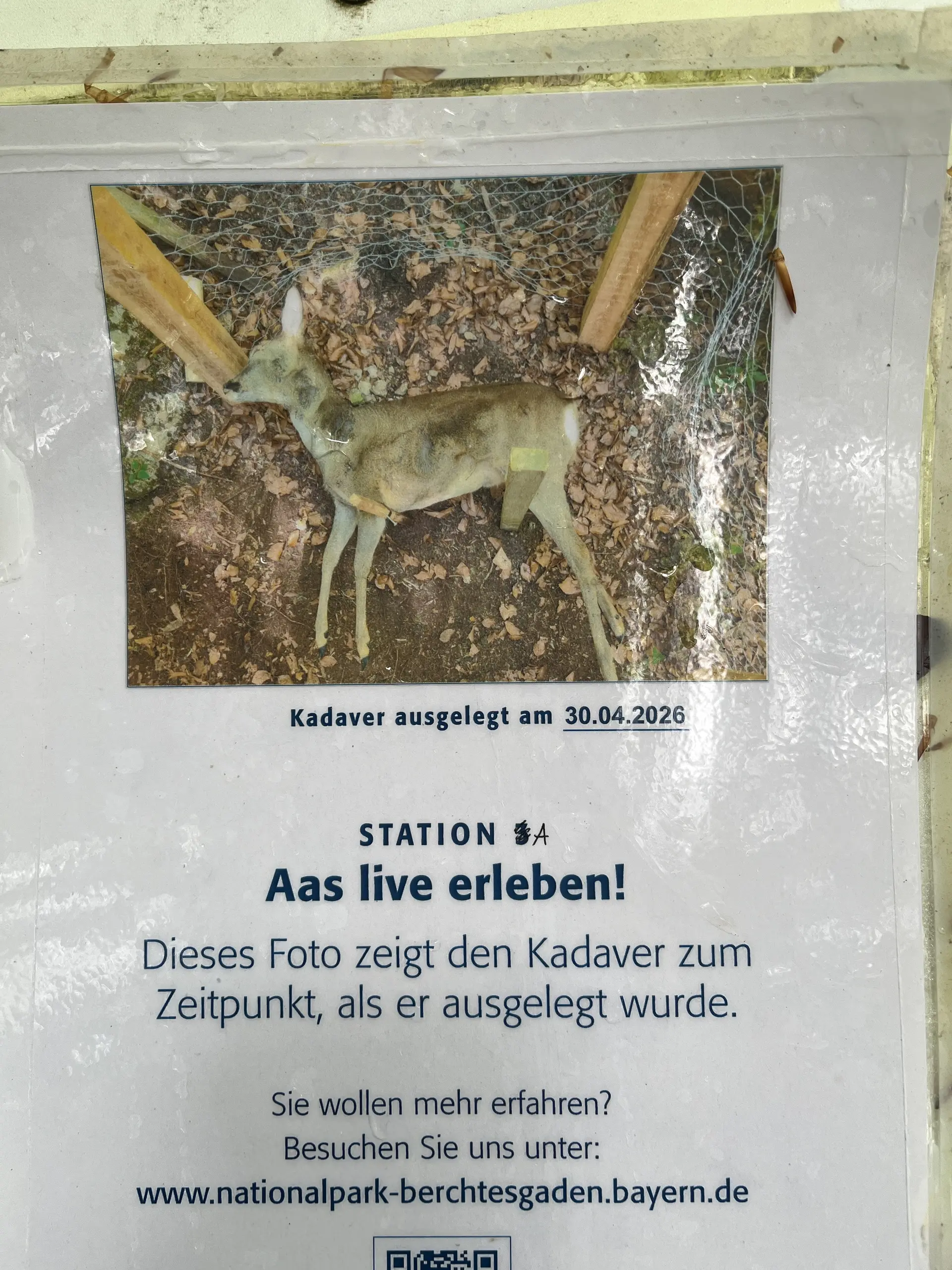 © DAV Teisendorf