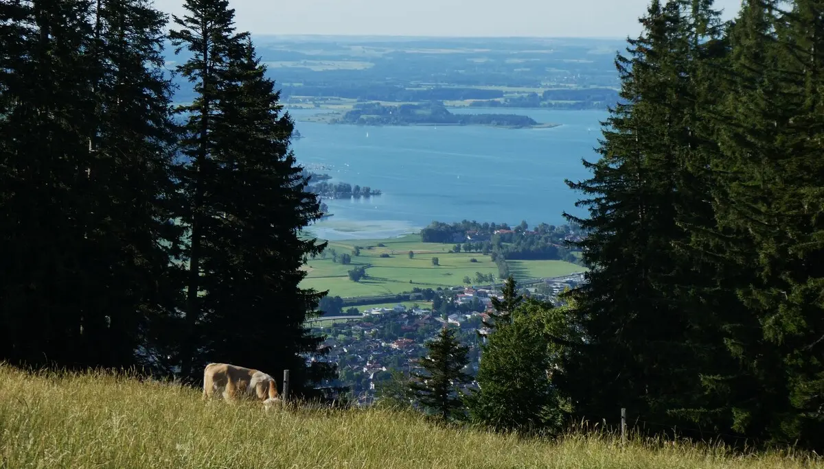 © DAV Teisendorf - OG Waging - Blick zum bayerischen Meer