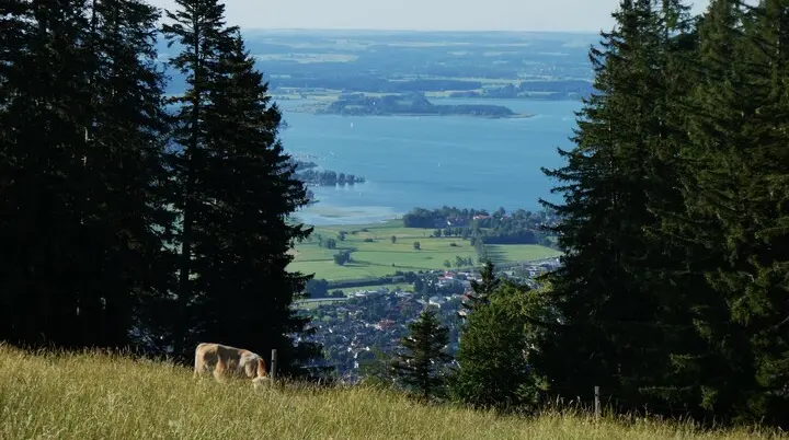 © DAV Teisendorf - OG Waging - Blick zum bayerischen Meer