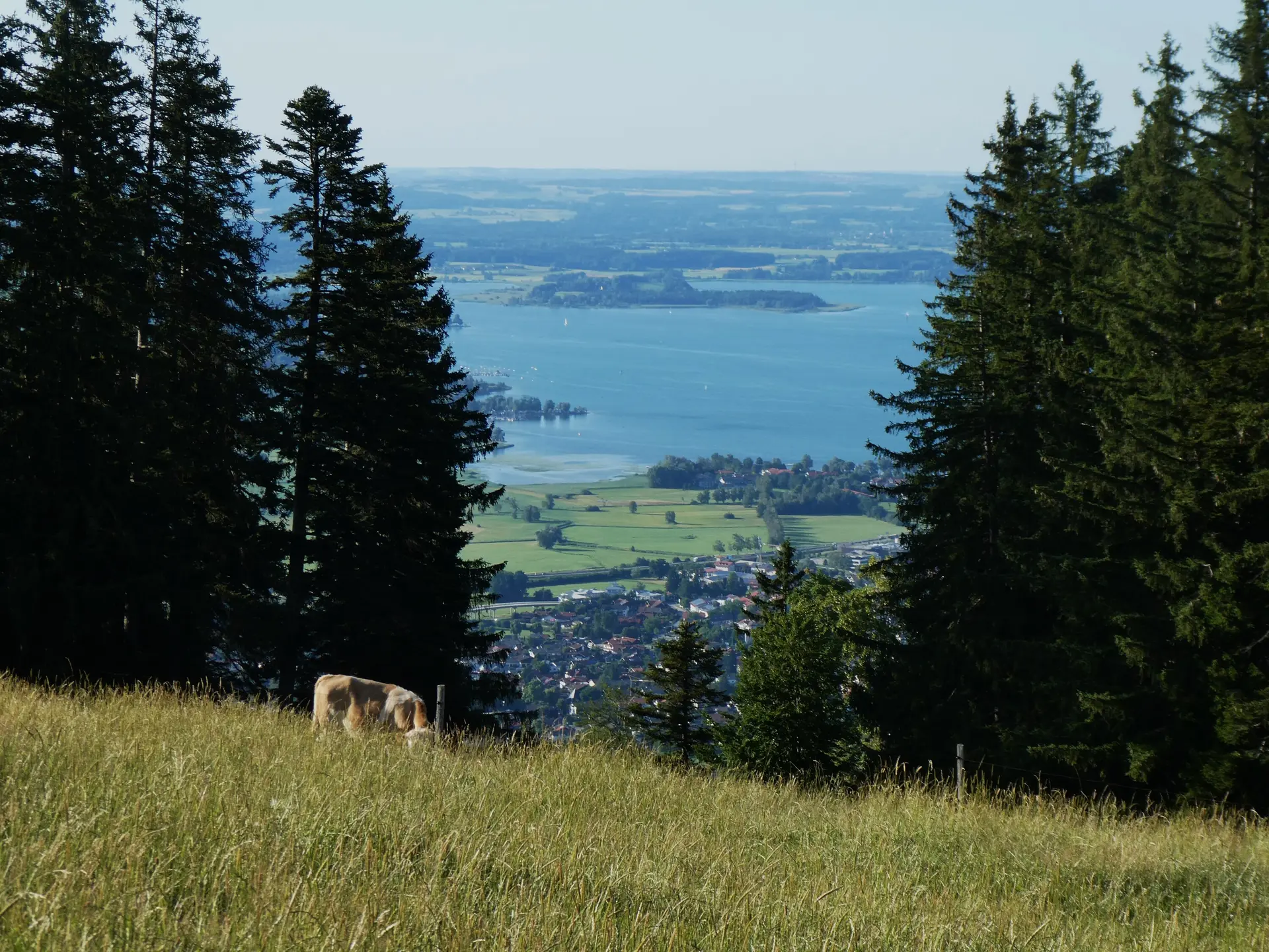 © DAV Teisendorf - OG Waging - Blick zum bayerischen Meer