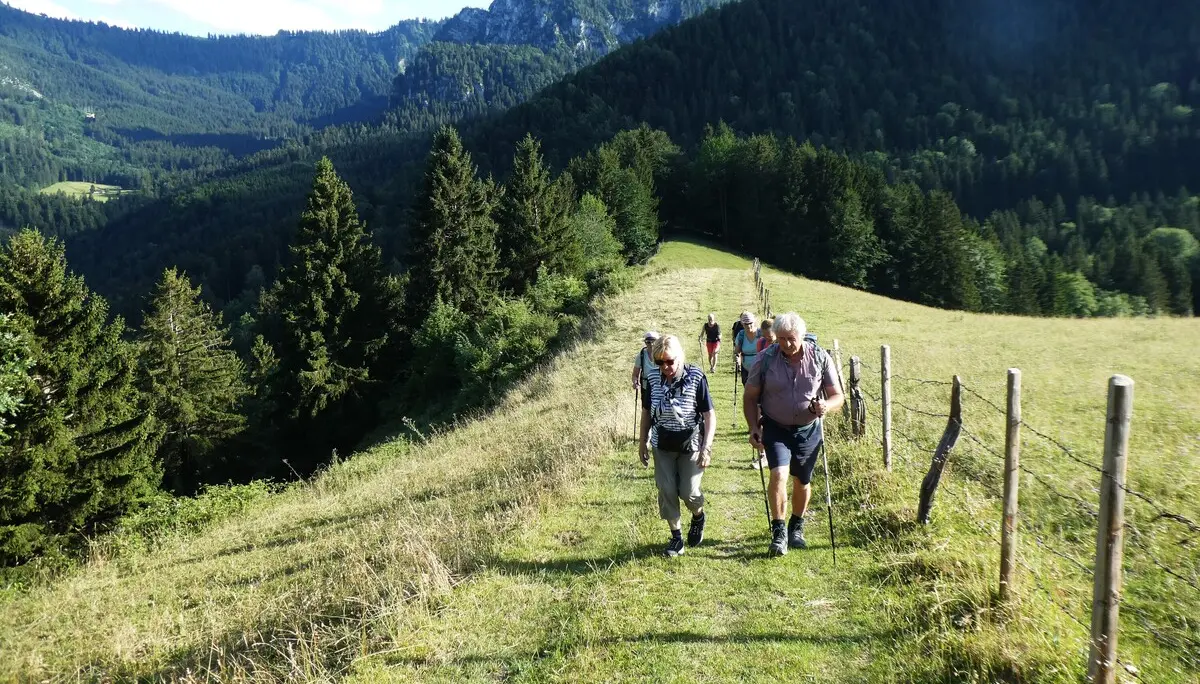 © DAV Teisendorf - OG Waging - Aufstieg zur Lindlalm