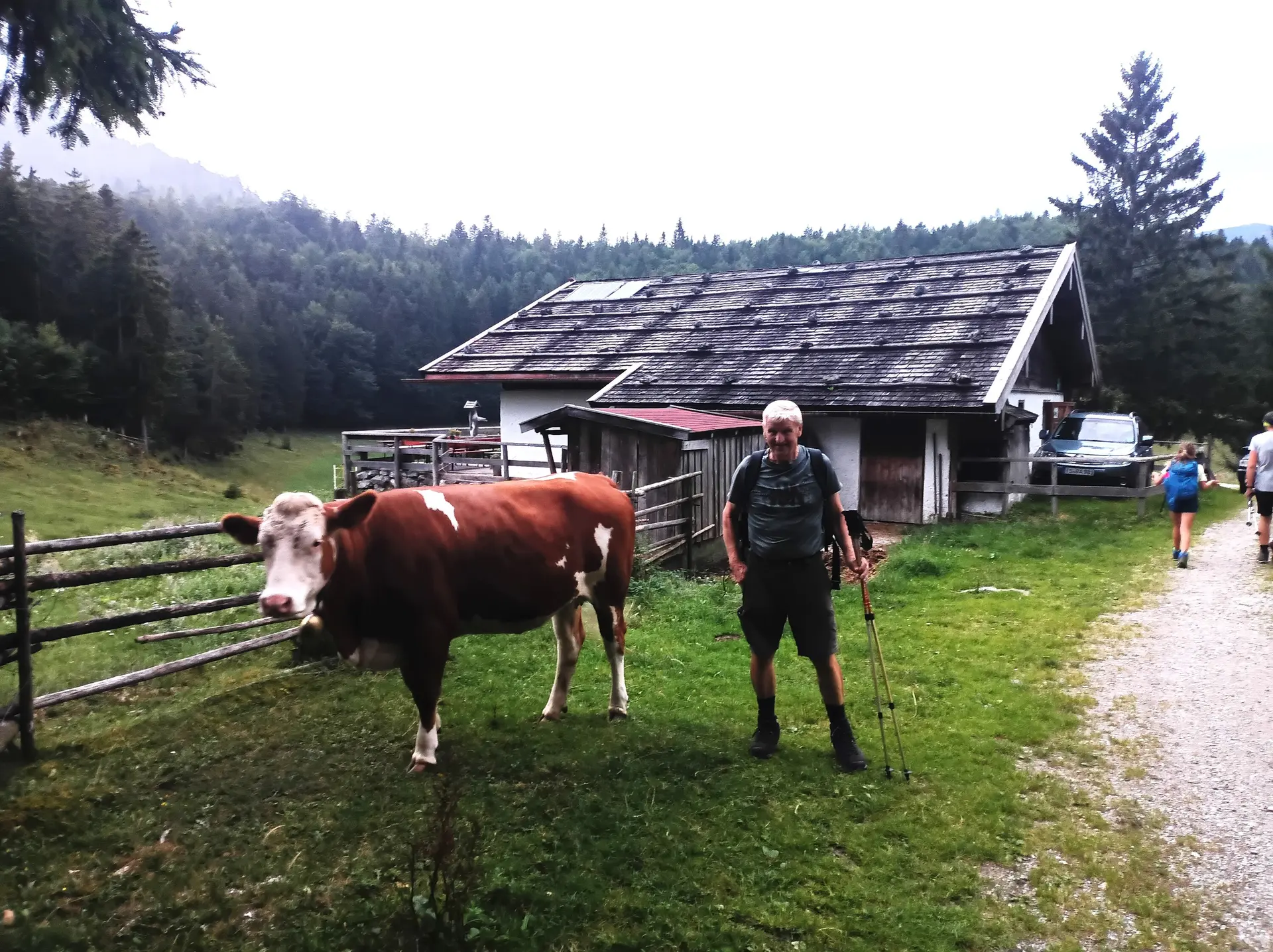 © DAV Teisendorf - OG Waging - kurz vor der Alm - wer ist der Schönste