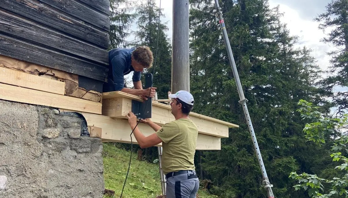 © DAV Teisendorf / Terassensanierung 08/2024