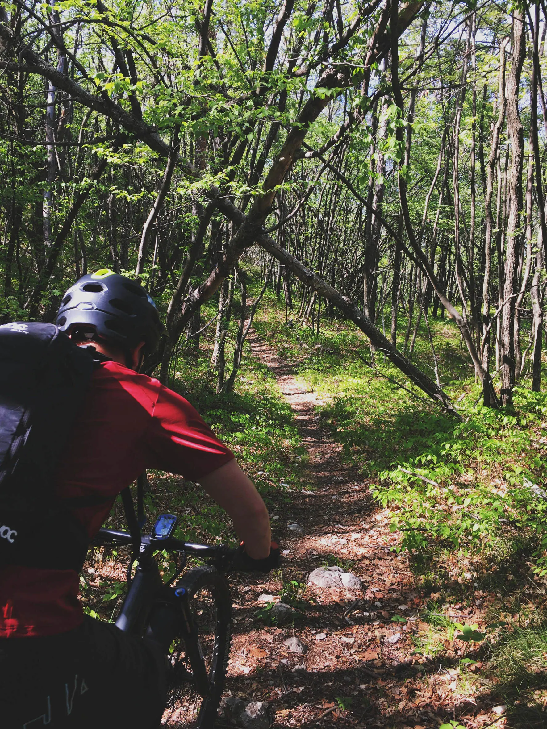 MTB S1 | © DAV Teisendorf / A. Hahnemann